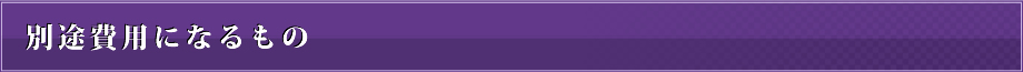 別途費用になるもの